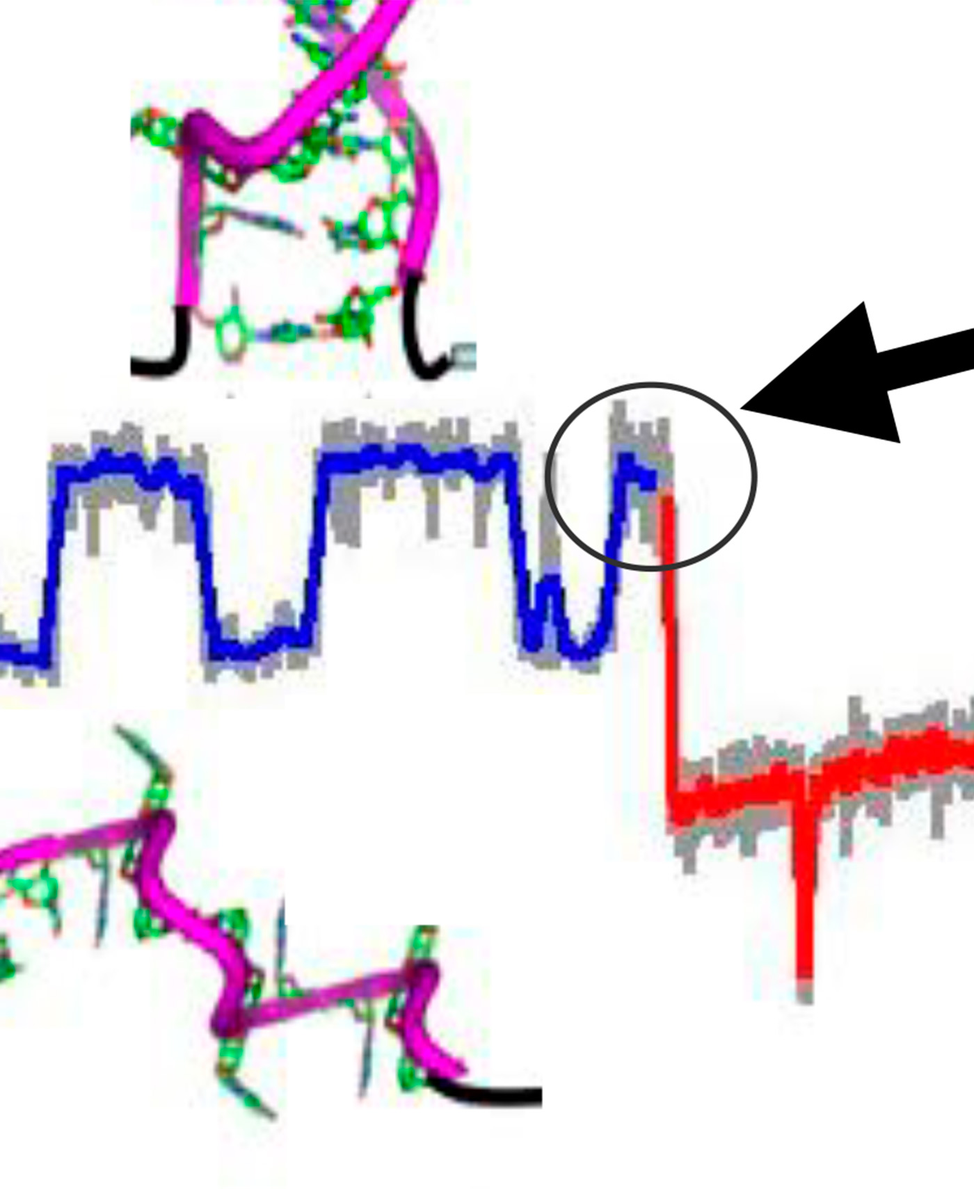 Felix Ritort - Energy and Information sense Biophysics
